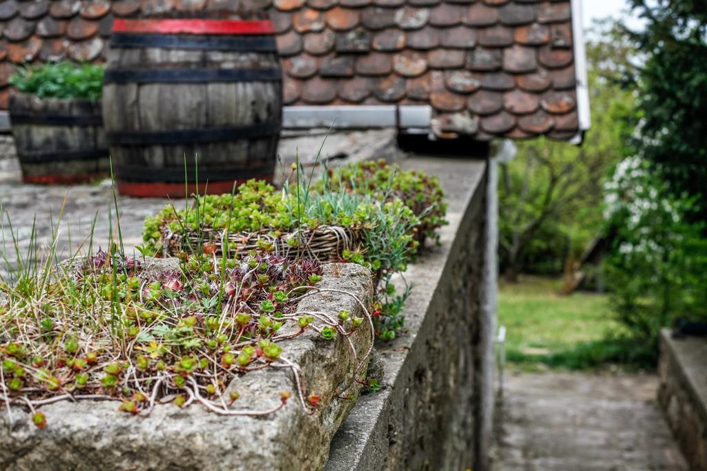 Myrtus Pince és Vendégház Tarcal Habitación foto
