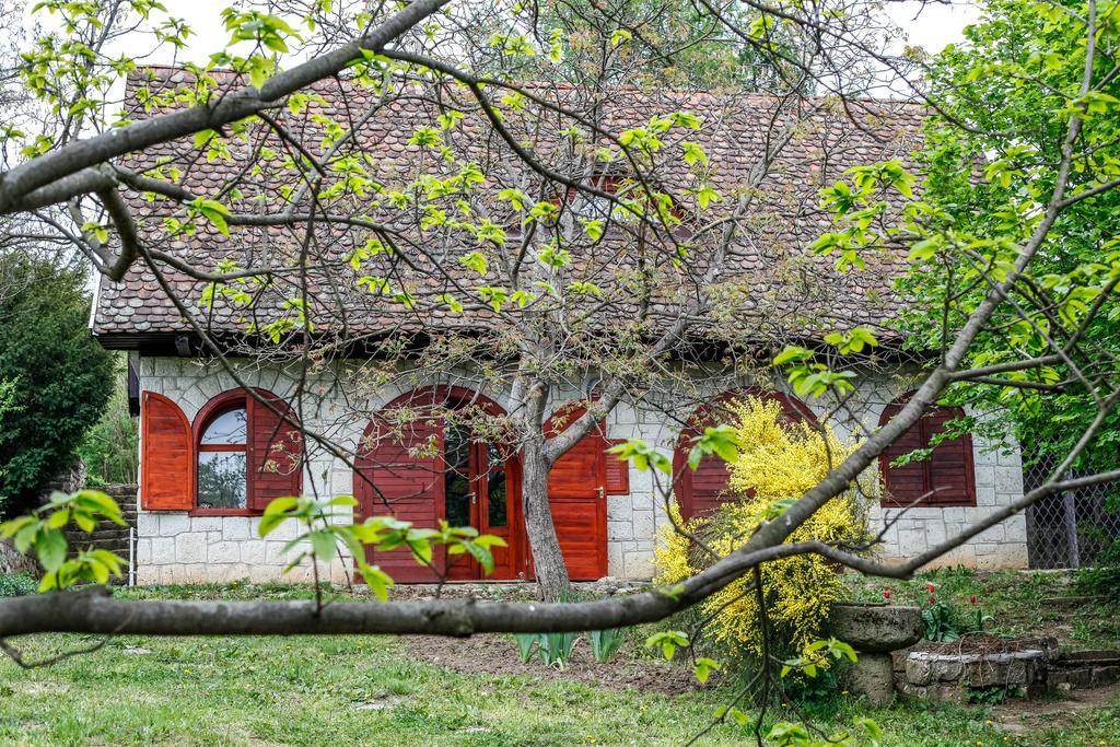 Myrtus Pince és Vendégház Tarcal Habitación foto