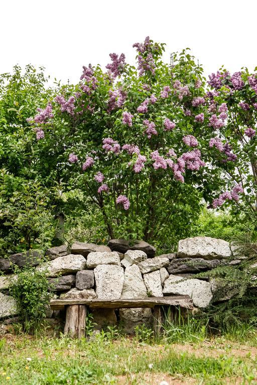Myrtus Pince és Vendégház Tarcal Habitación foto