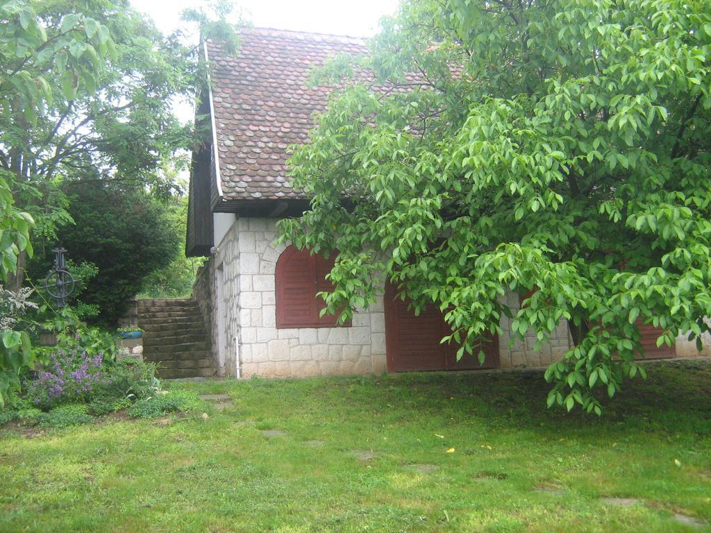 Myrtus Pince és Vendégház Tarcal Exterior foto